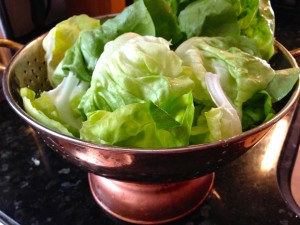 Rinse your lettuce and drain well before using
